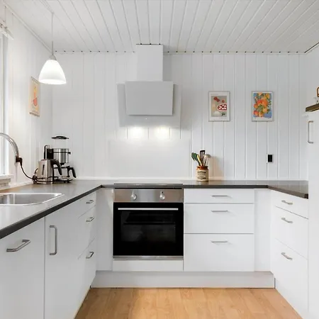 بيت للعطل 2293-ringkobing-havklitvej-143 *